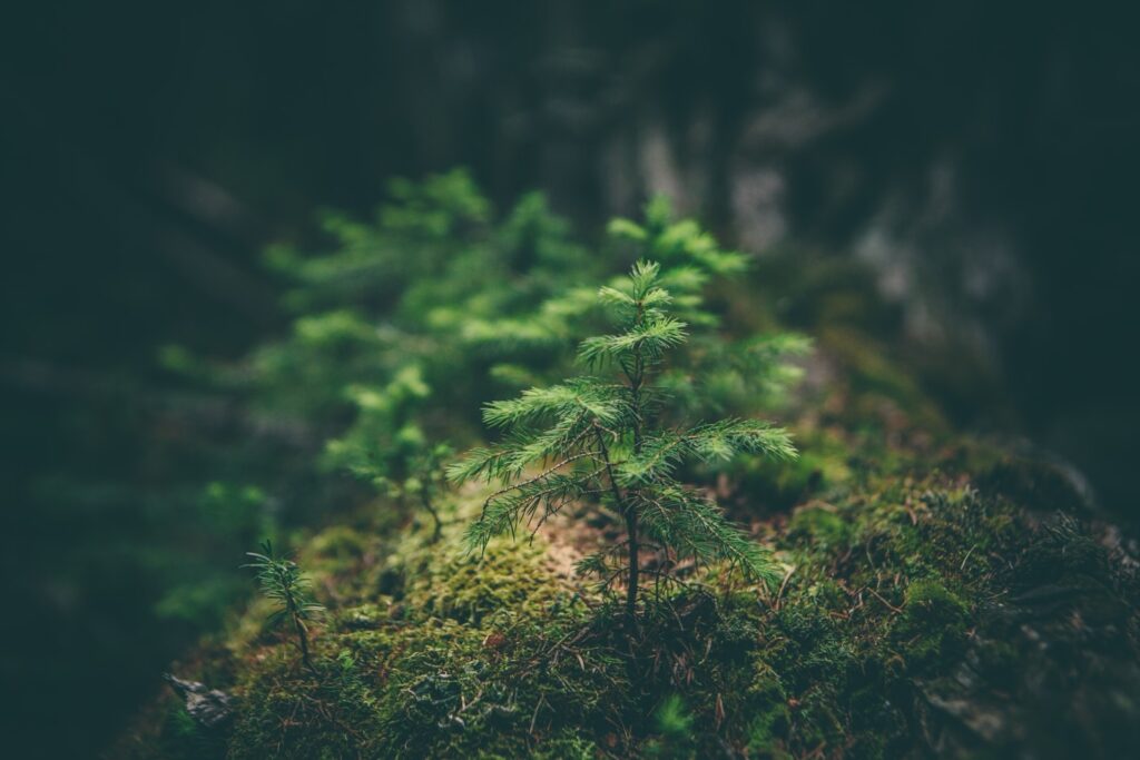 Featured Image 3 1024x683