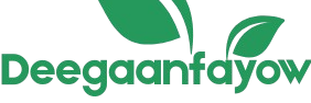 cropped cropped cropped green minimalist plant store logo removebg preview 1.png